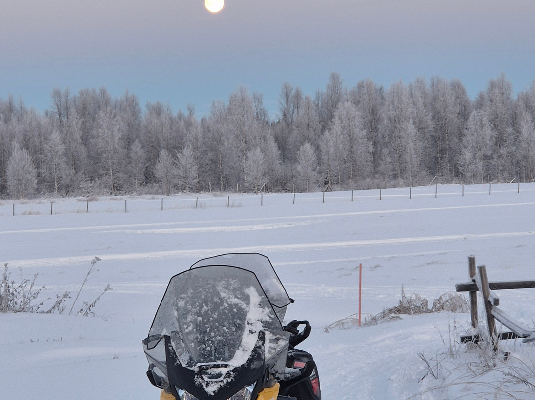 North Wind Lapland-Yllasjarvi必去景点