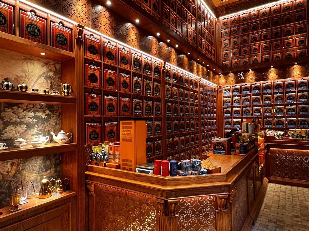 Dar El Bacha - Musee des Confluences-马拉喀什必去景点