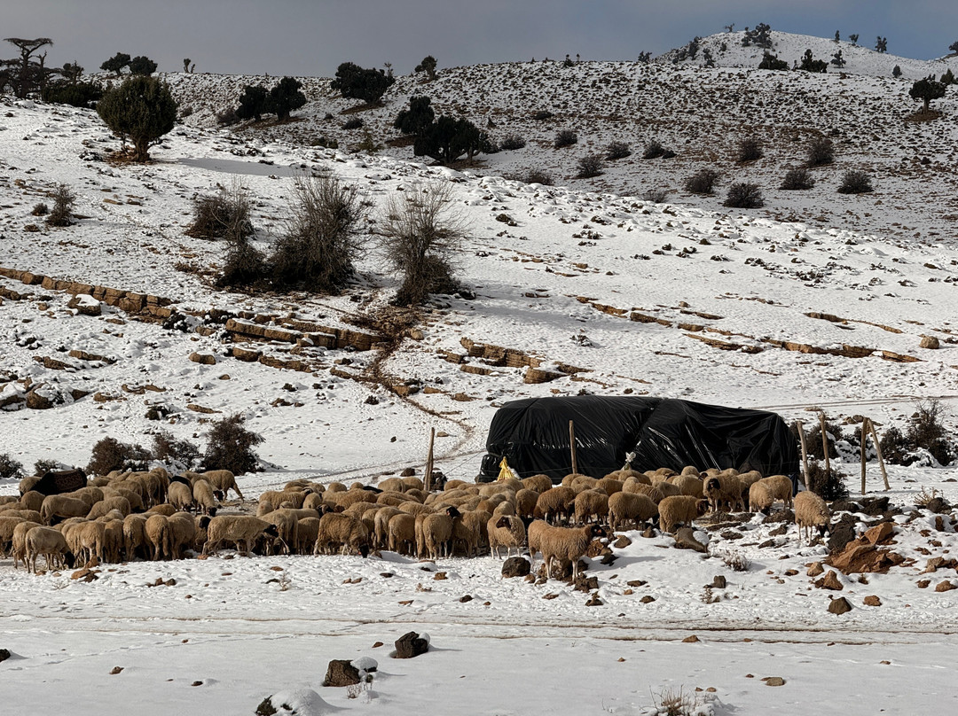 Merzouga Dunestrip Day Tours-梅如卡必去景点