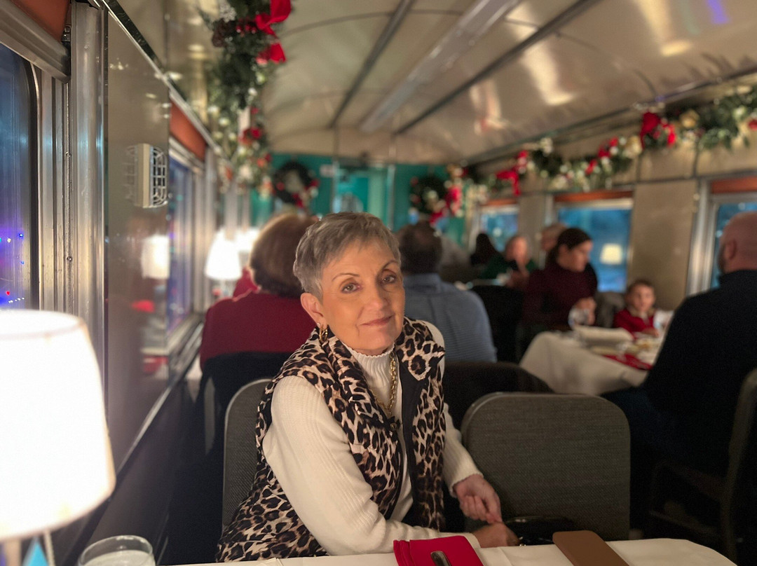 Tennessee Valley Railroad Museum-查塔努加必去景点