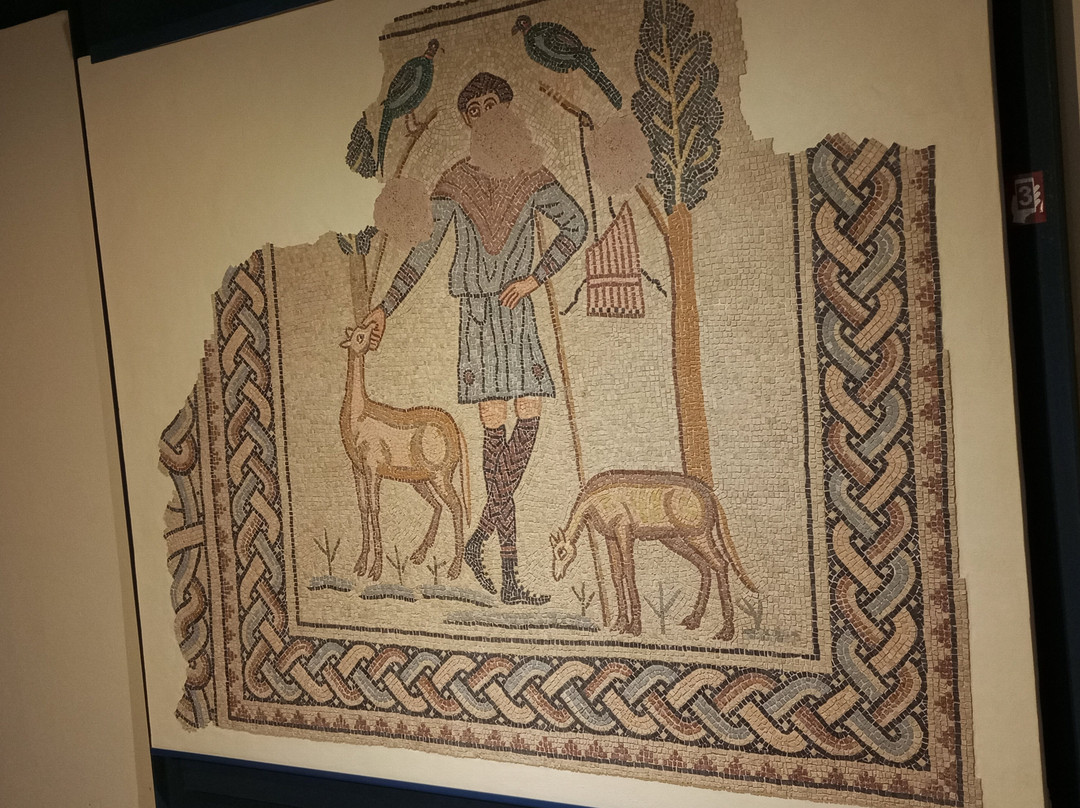 Domus dei Tappeti di Pietra-拉韦纳必去景点