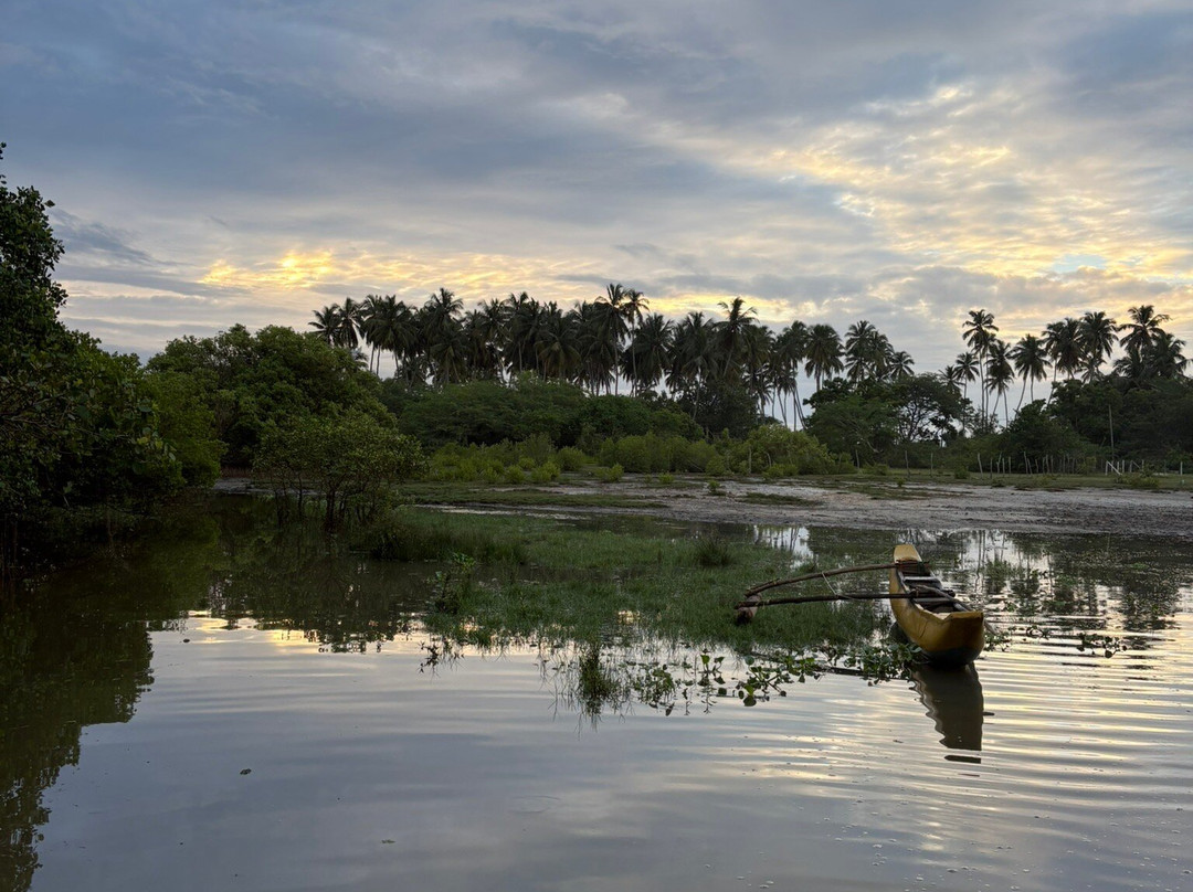 Kalametiya Lagoon Bird Sanctuary & Wetland Park-唐卡拉必去景点