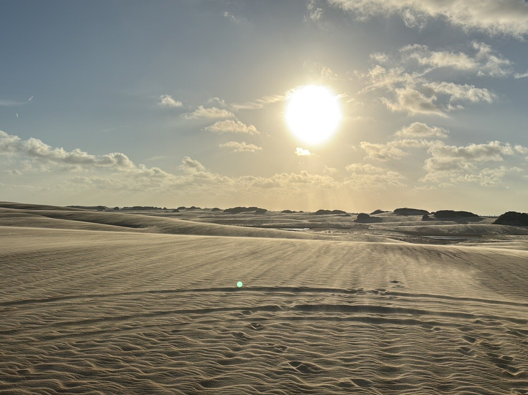 Farol da Foz Ecoturismo-Piacabucu必去景点