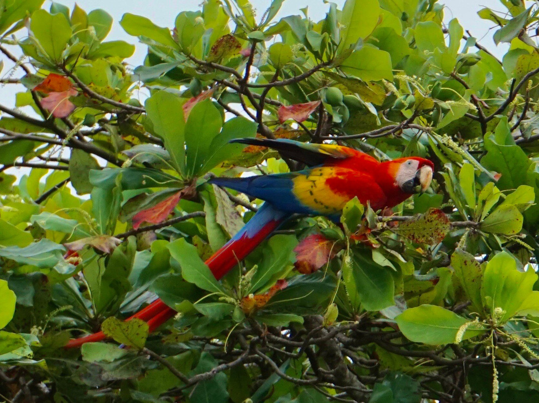 Playa Blanca-艾拉杜拉必去景点