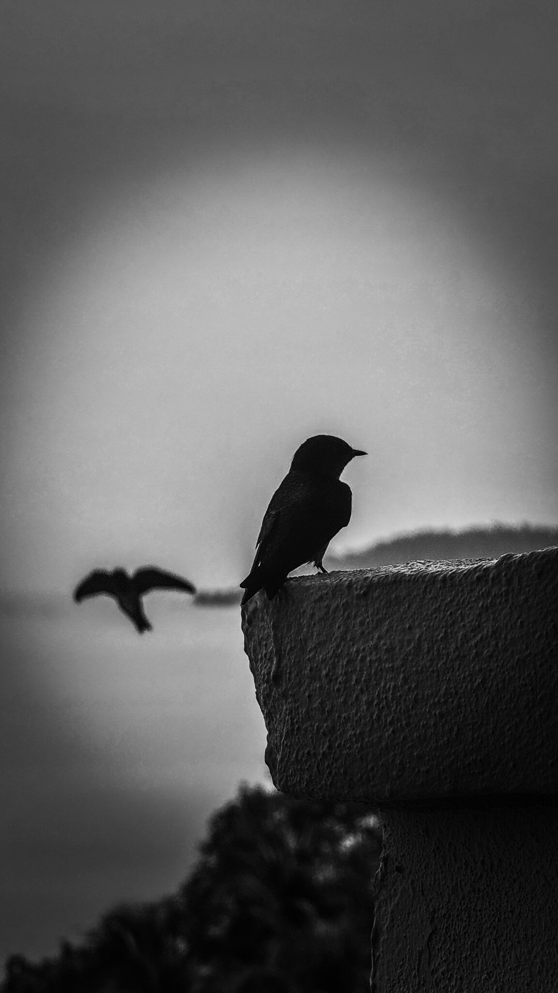 DoubleTree by Hilton Damai Laut Resort-官方