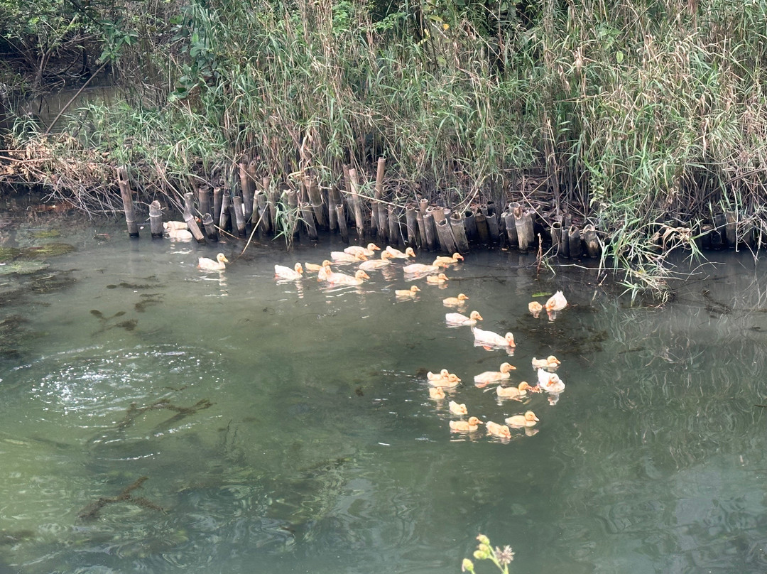 Blue Swimmer Outdoors-卡巴必去景点