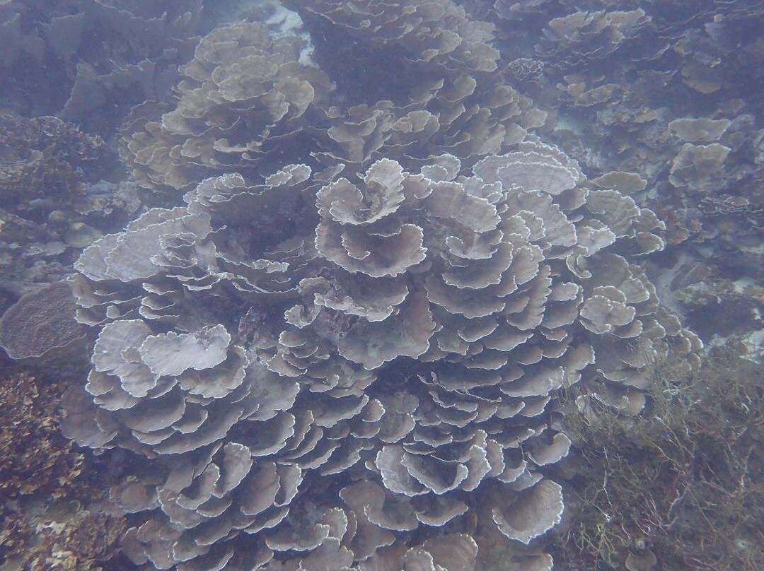 Bike and Tours-拉哈达图必去景点