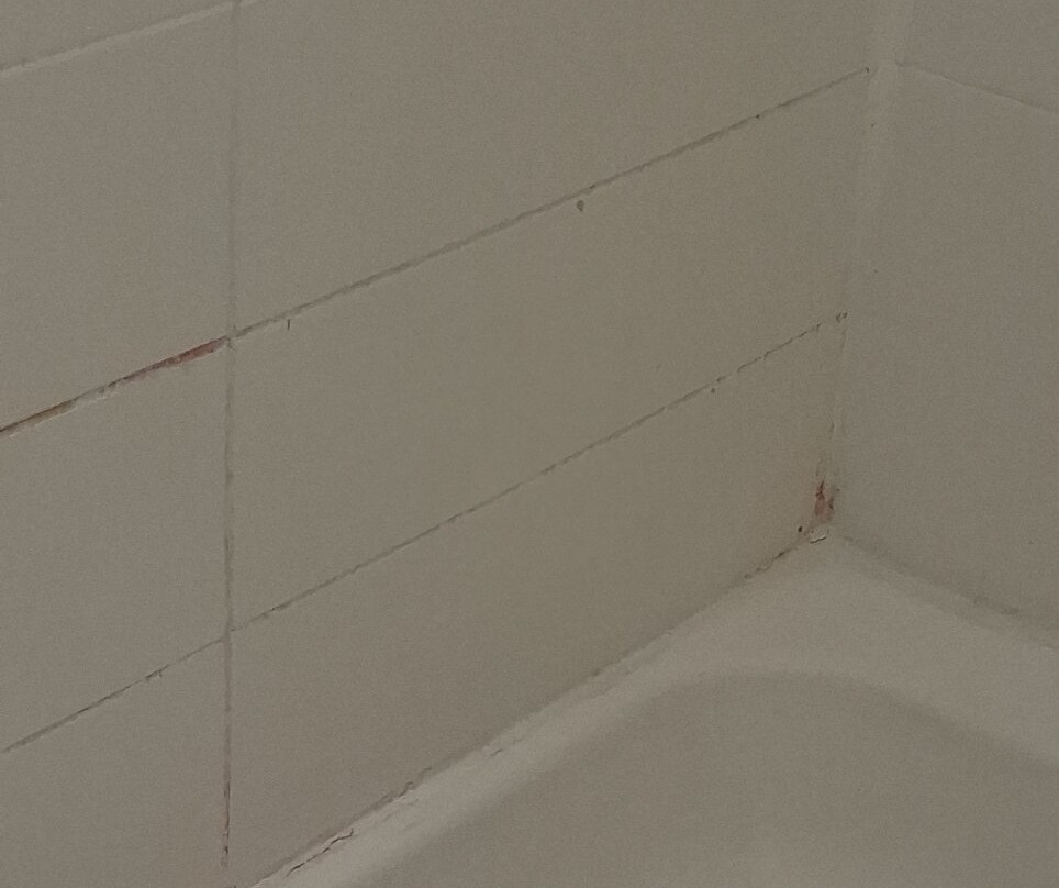 Best Western West Lebanon- Hanover Hotel主图