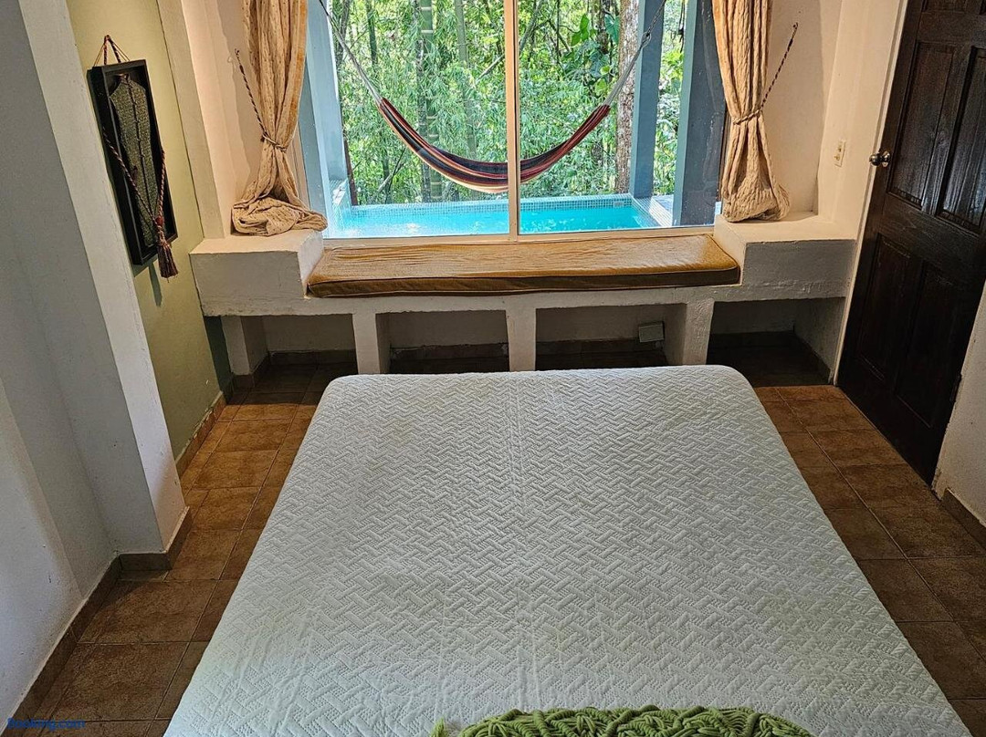 Olp Treehouse Cerro Azul