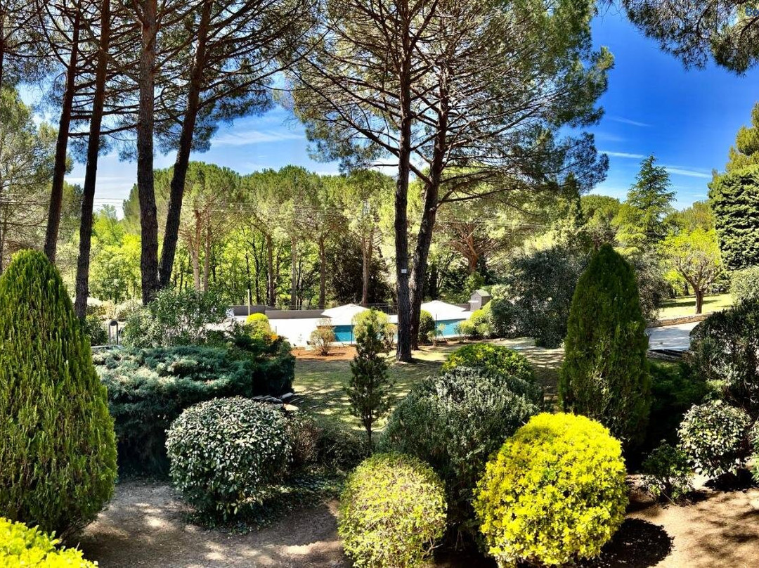 Provence mon amour