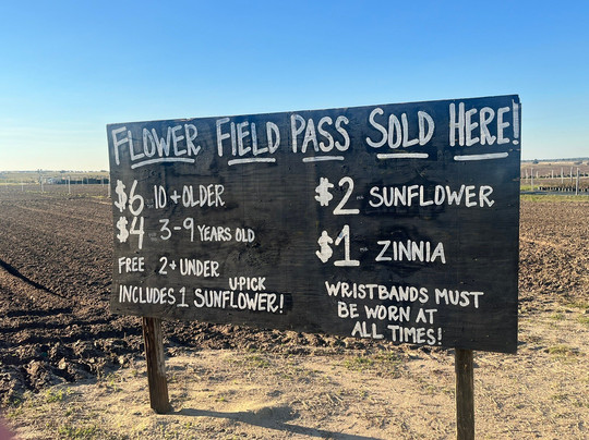 Southern Hill Farms-Clermont必去景点