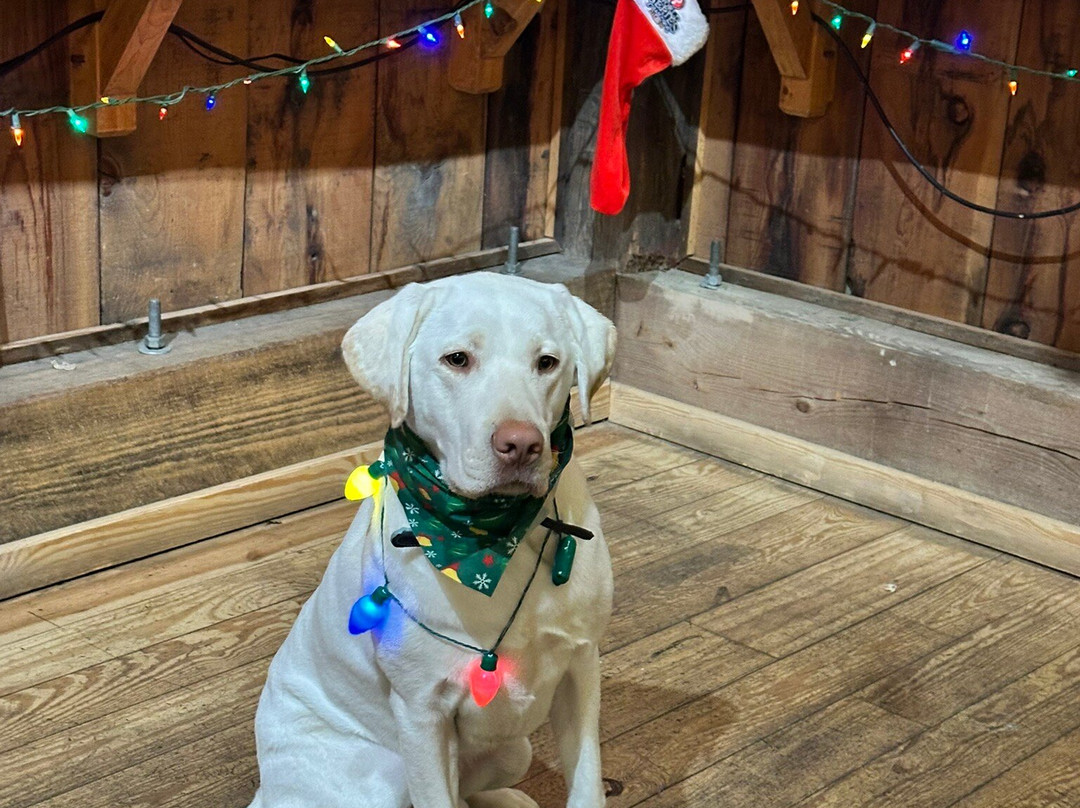 Cold Spring Brewery-Lower Township必去景点