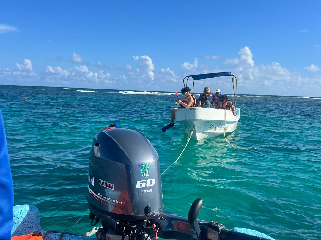 Blue Caribe-艾库玛尔必去景点