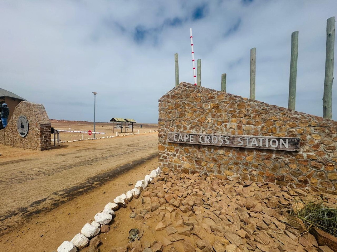 Cape Cross-Erongo Region必去景点