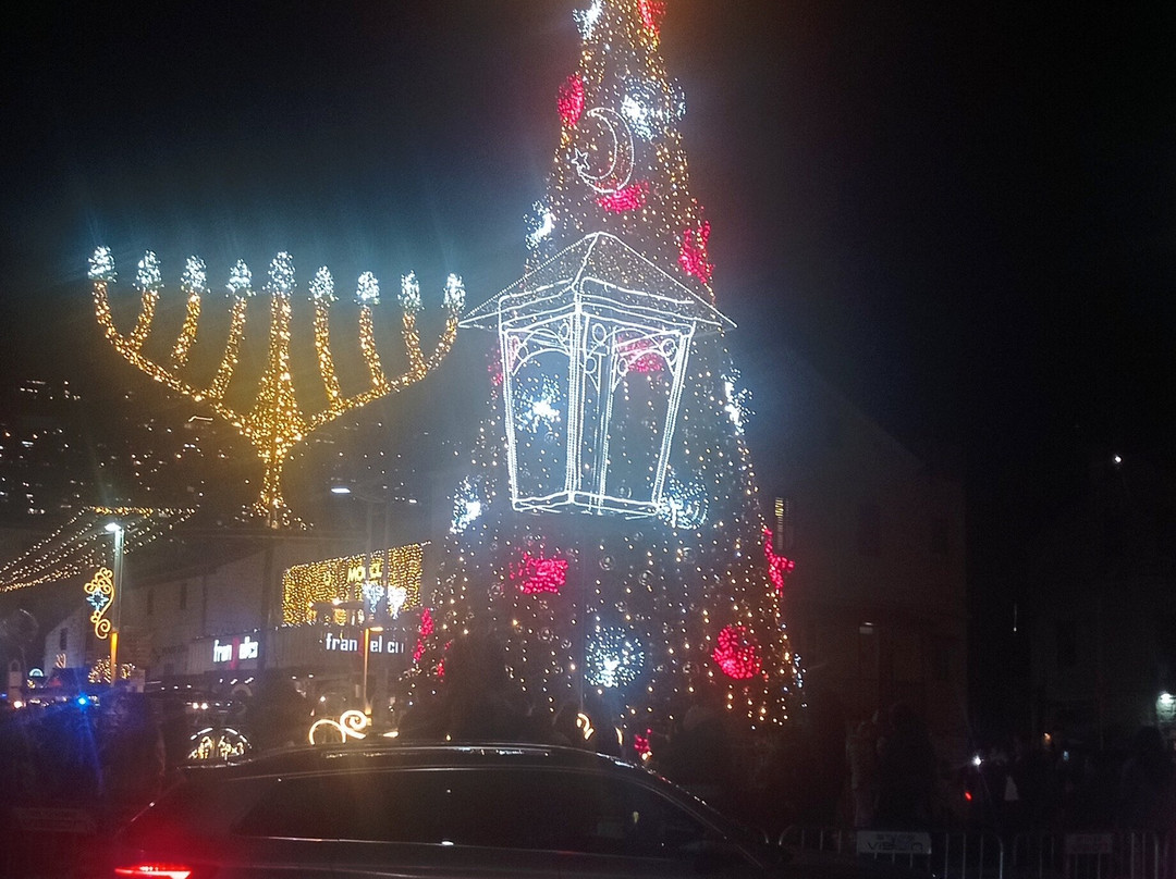 Botanica Haifa主图