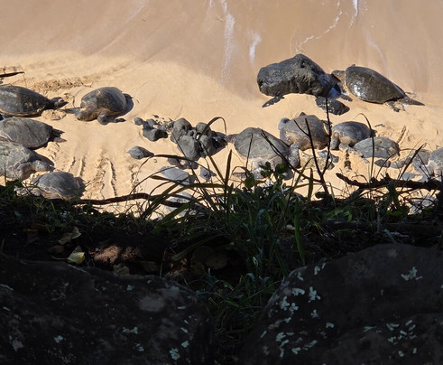 Exclusive Private Maui Tours & Transportation-毛伊岛必去景点