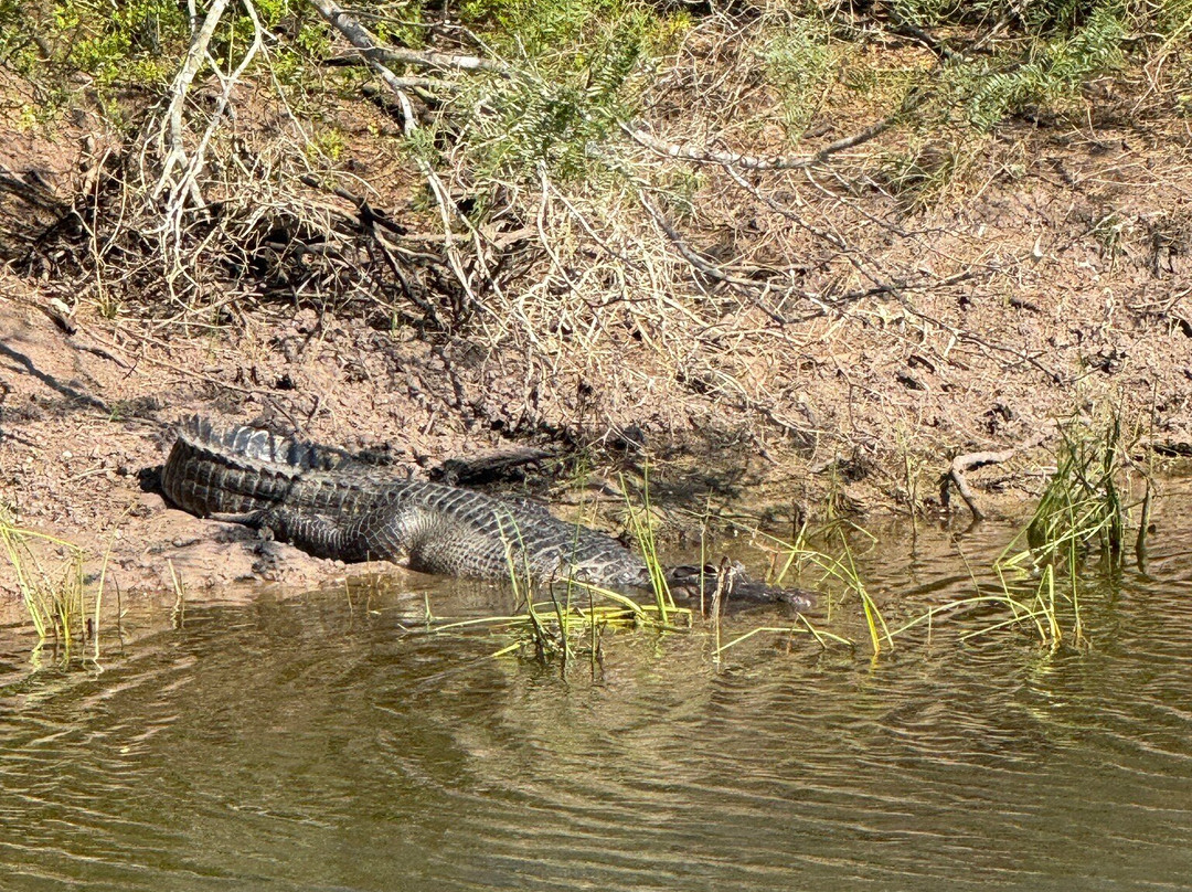 Laguna Atascosa National Wildlife Refuge-德克萨斯州墨西哥湾沿岸必去景点