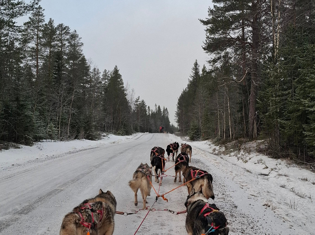 Fjallaventyr-Salen必去景点