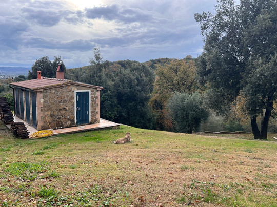 Agriturismo Poggio Diavolino主图