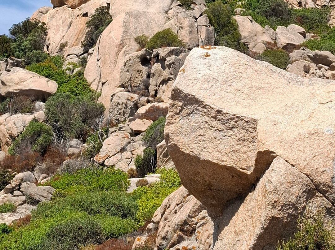 Isola di Spargi-拉马达莱娜必去景点