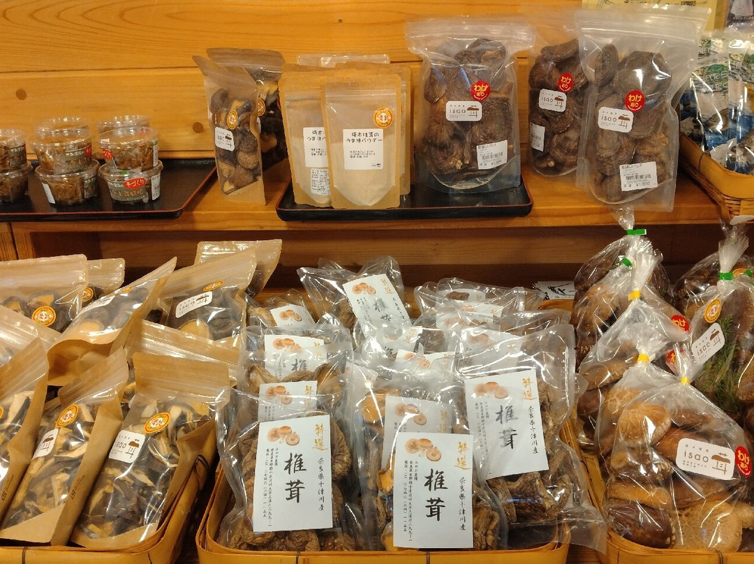 Totsugawago Michi-no-Eki-十津川村必去景点