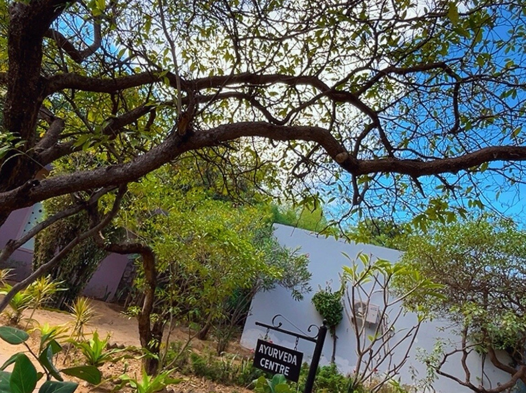 The Pugmark Resort主图