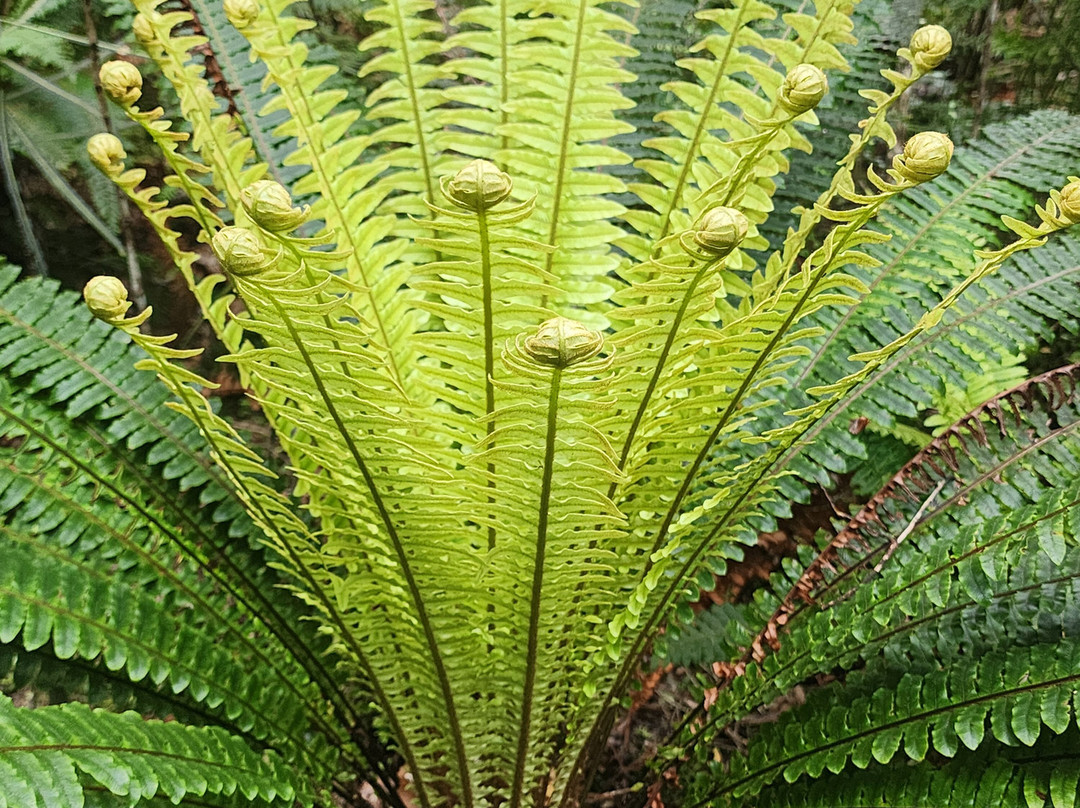 Rakiura Charters & Water Taxi-斯图尔特岛必去景点