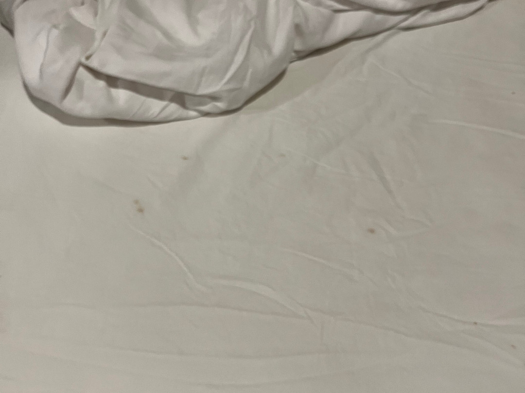 Raja Hotel Kuta Mandalika主图