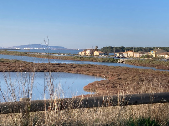 Plage des Aresquiers-Frontignan必去景点
