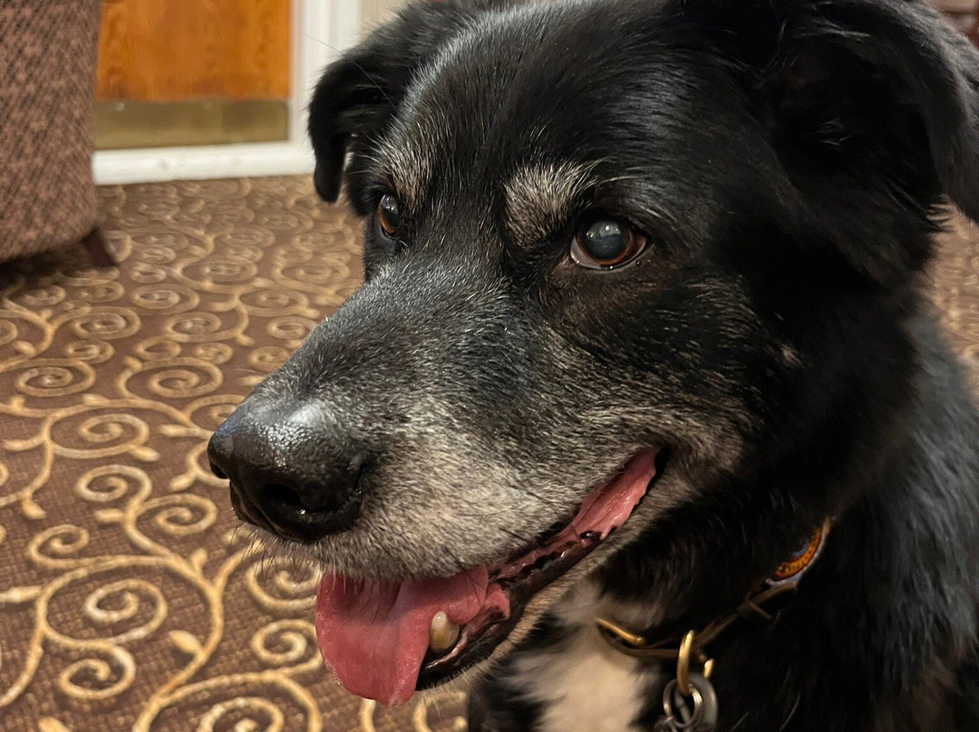 经典希克史泰德酒店主图