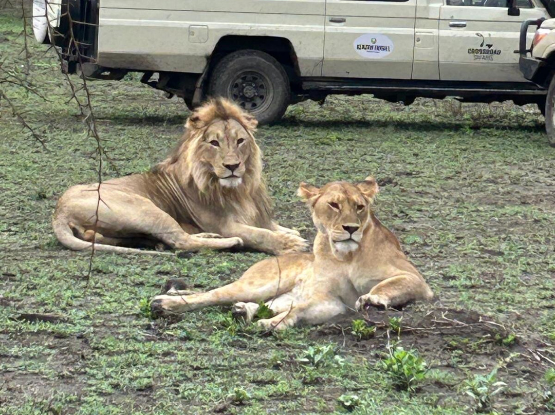 Earthlife Expeditions-阿鲁沙必去景点