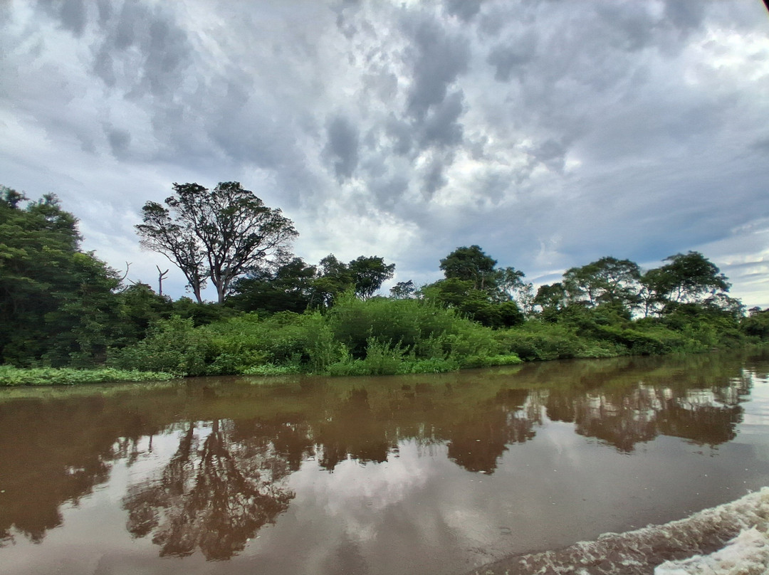 Spot Jaguar Pantanal South Wild Jaguar Tour-科龙巴必去景点