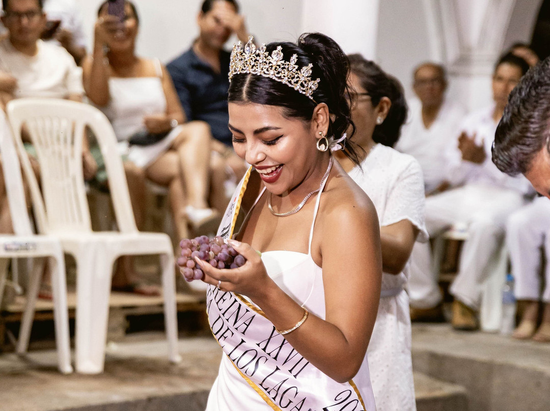 Bodega Y Viñedo Sotelo-伊卡必去景点