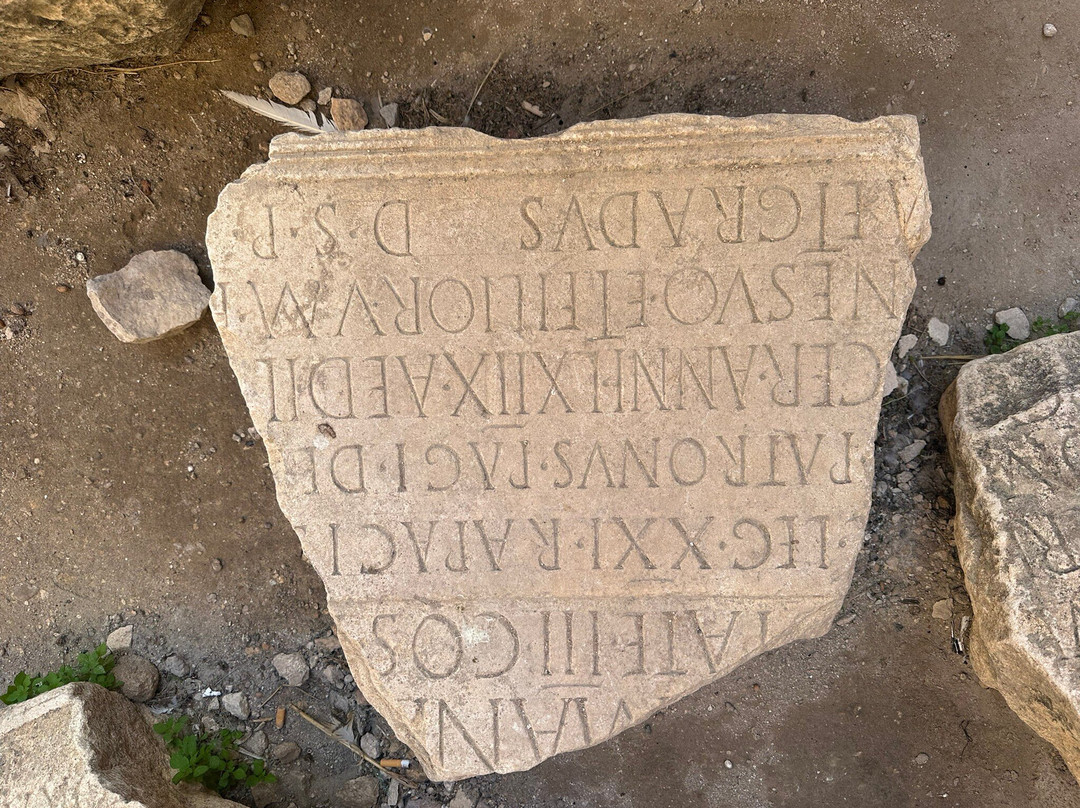 Verger des Montagnes主图