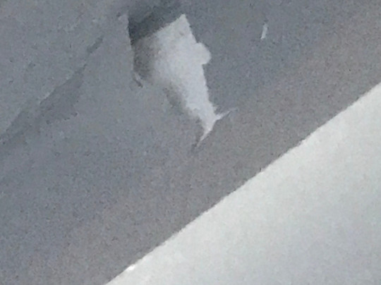 巴勒赫卡梅伦豪斯德维尔酒店主图