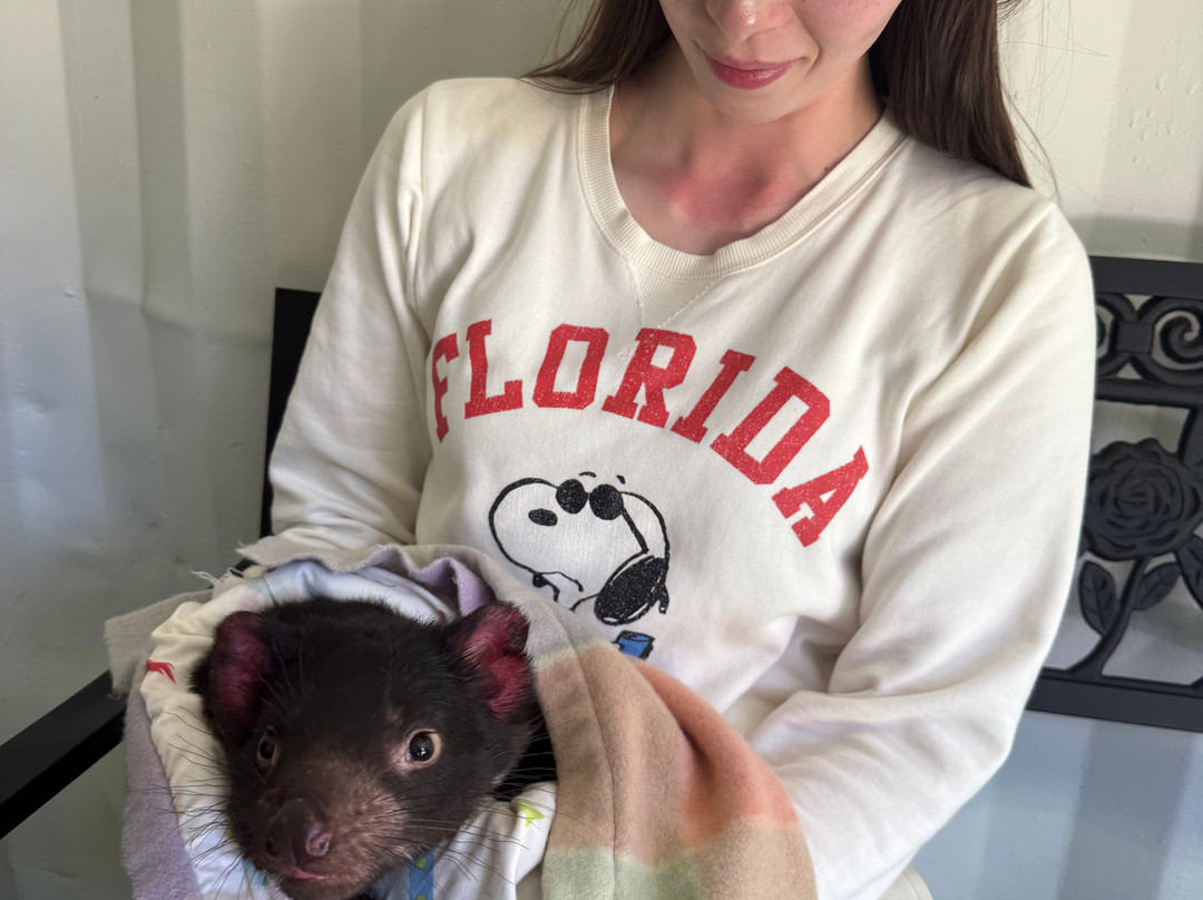 Coastline tours Tasmania