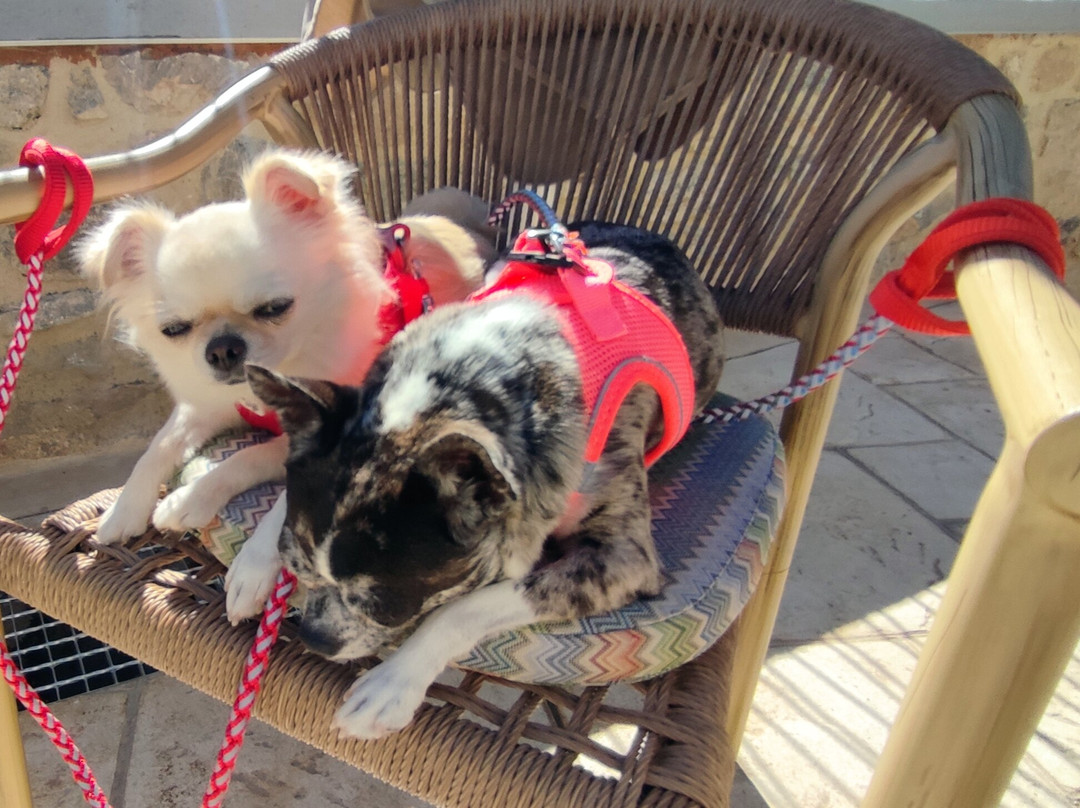 Ancient Greece Tours & Transfers-雅典必去景点