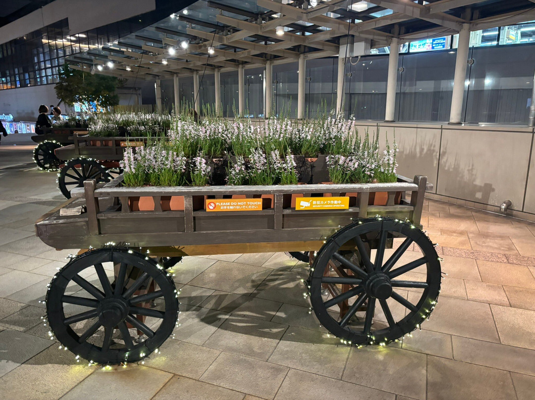 难波公园-大阪市必去景点