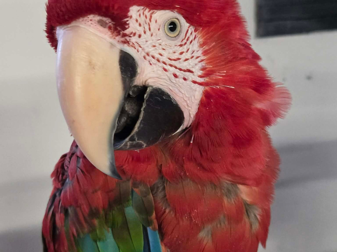 CineZoo-Sainte-Anne-de-la-Rochelle必去景点