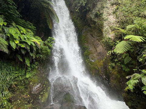 The Road Trip-奥克兰中心地区必去景点