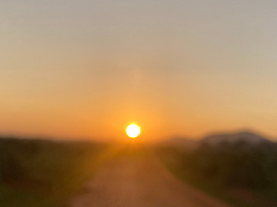 Cariola Safari Kenya-瓦塔木必去景点