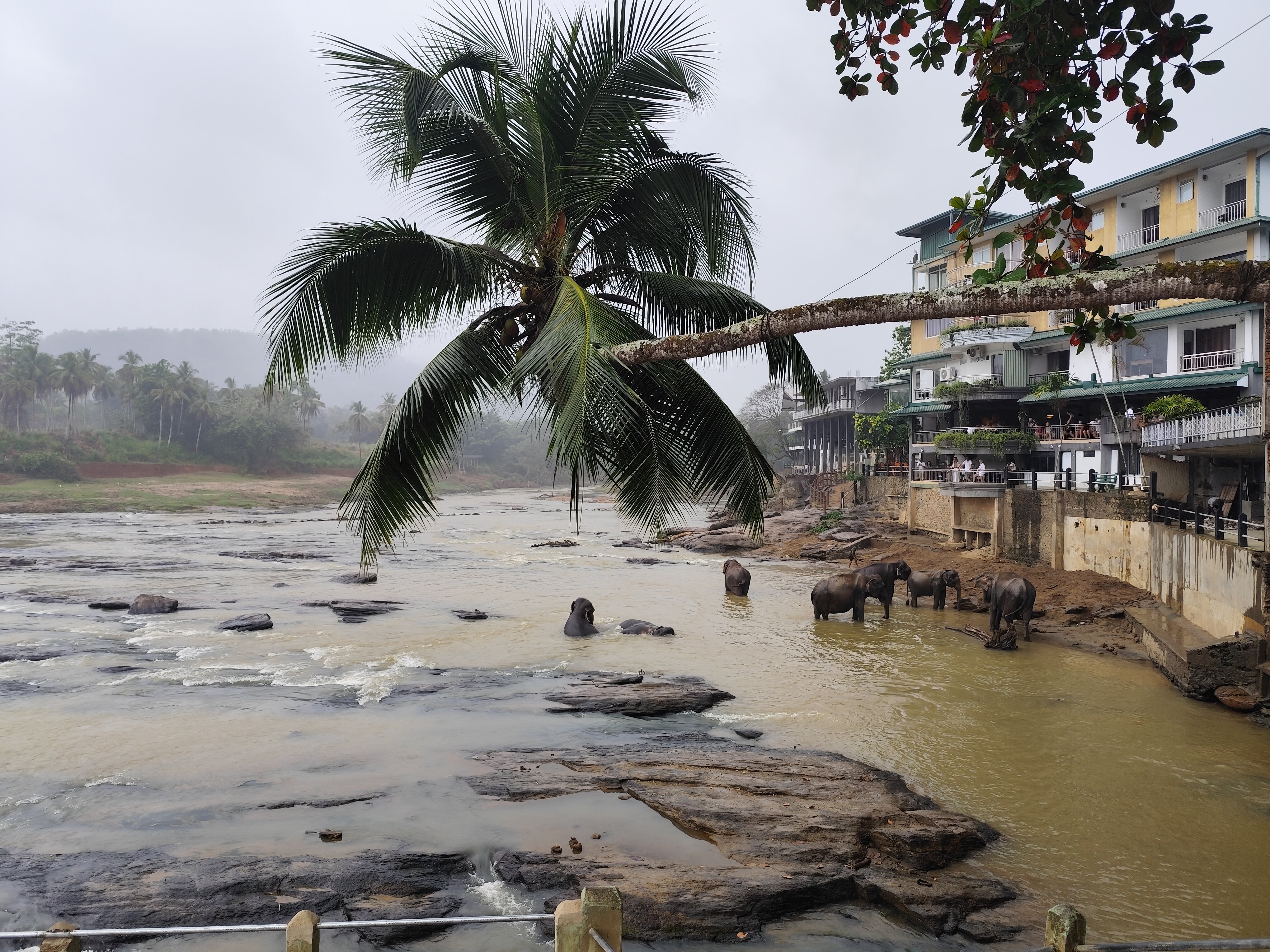 大象海湾酒店-官方
