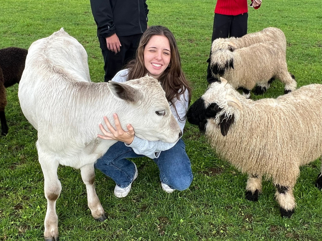 Woodstone Farm, Te Anau, New Zealand-蒂阿瑙必去景点