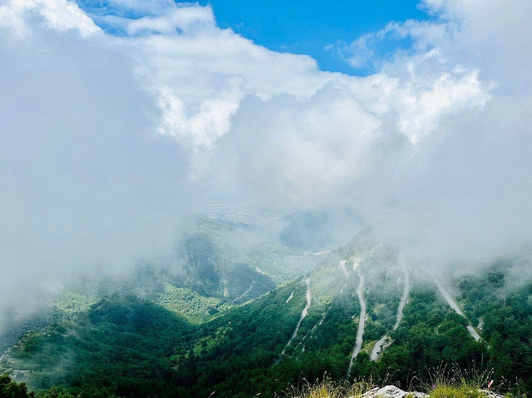 Orto Botanico Pellegrini - Ansaldi-马萨必去景点
