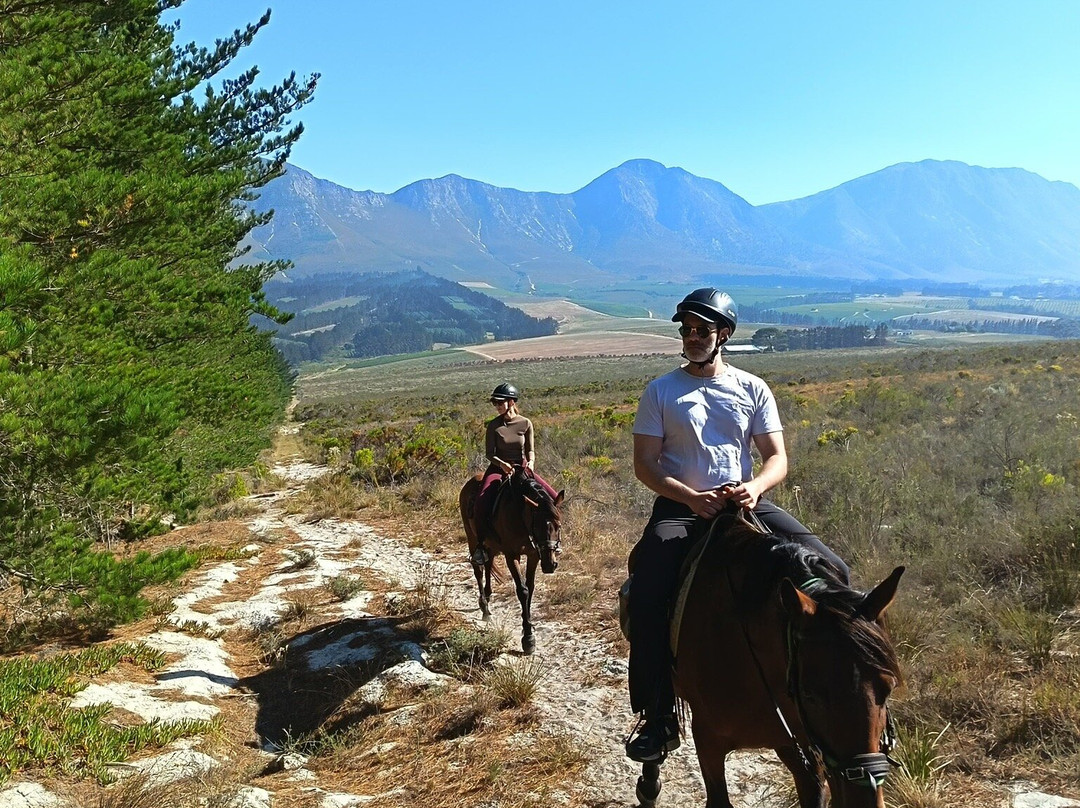 Heaven and Earth Trails-赫曼努斯必去景点