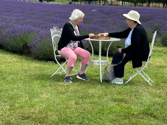 Lavender Abbey-Carterton必去景点