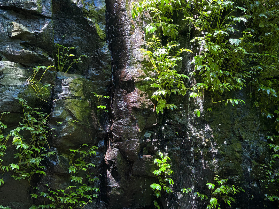 Paradise Falls-Bunya Mountains必去景点