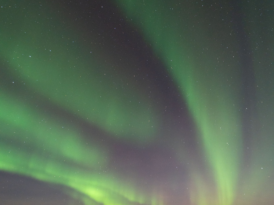 Arctic Safari-摩尔曼斯克必去景点