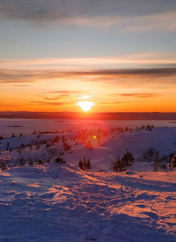 Arctic Safari-摩尔曼斯克必去景点