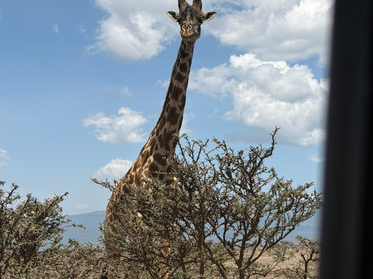 Keei Gee Mountain Expeditions-Naro Moru必去景点